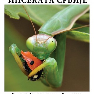 84713423_1284825491709807_7583065082381205504_o