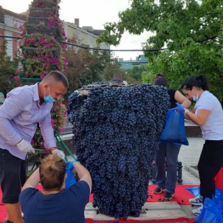 119472290_766940520784229_9192271640576005962_n