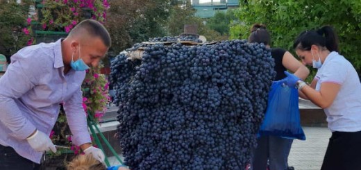 119472290_766940520784229_9192271640576005962_n