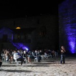 Dunav film fest 15_resize