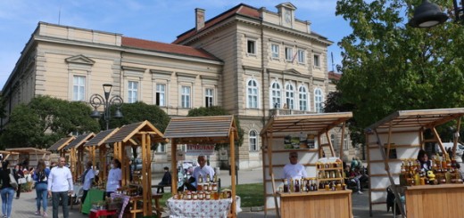 Sajam cveca zimnice meda_09