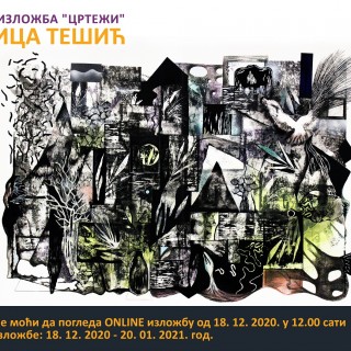 Plakat- Danica Tešić 1