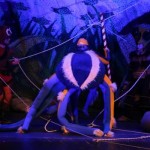 200104034_4445082645511038_1533248232867327943_n