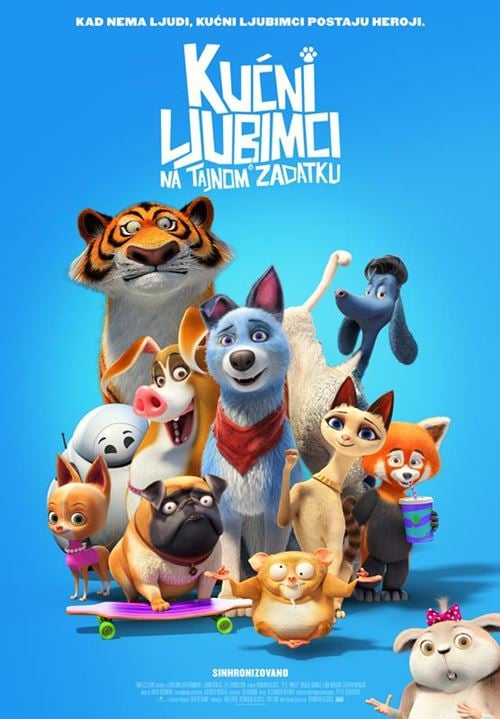 215339611_1684109785114707_5618625672443373982_n