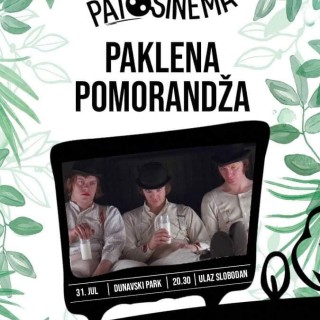 225119830_1694880577370961_6157043539300259520_n