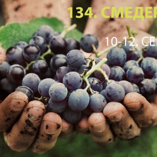 241625824_1723649961160689_7032555560931585420_n