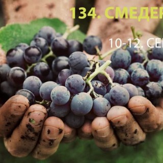 241670594_1724936297698722_8555426140436307620_n