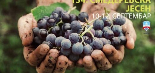 241670594_1724936297698722_8555426140436307620_n