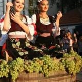 241683222_344014944116380_3882022032422905161_n