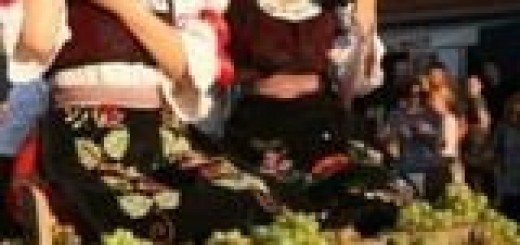 241683222_344014944116380_3882022032422905161_n