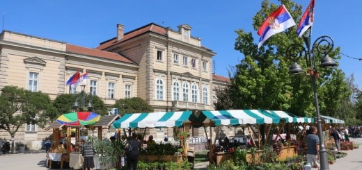 241796382_1416361195416668_6721070250603755411_n