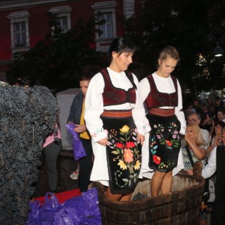 Muljanje grozdja za kraj_07