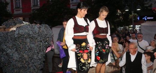 Muljanje grozdja za kraj_07