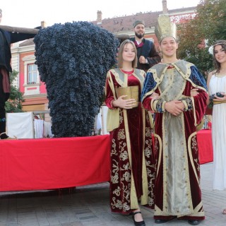 Smederevska jesen_02