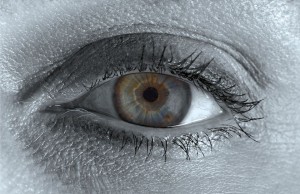 265209717_271035695061160_3340306106924091327_n